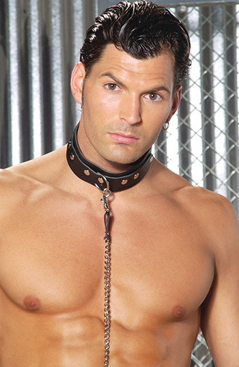 Leather Collar.